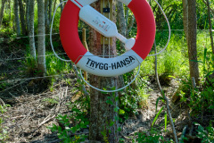 Kättslinge 240630