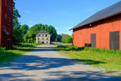 Kättslinge 240630